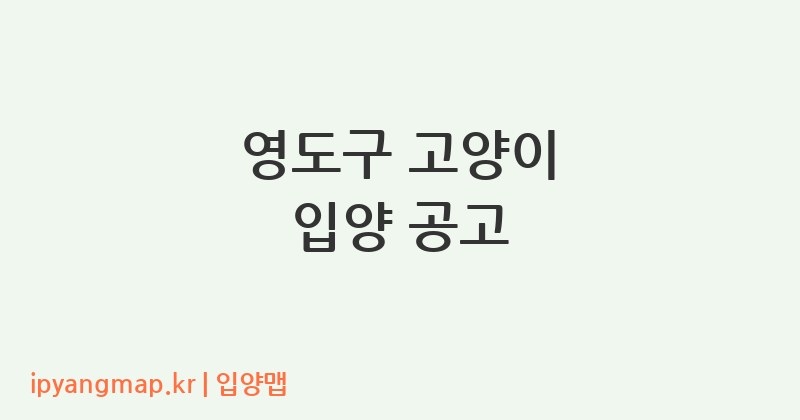 영도구 고양이 입양 공고