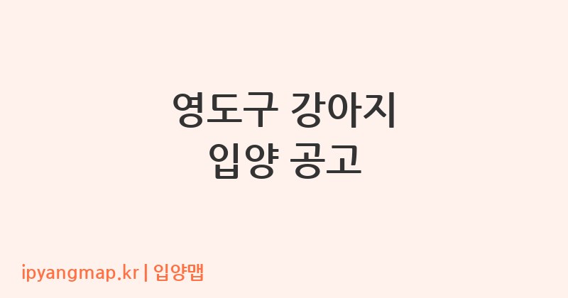 영도구 강아지 입양 공고