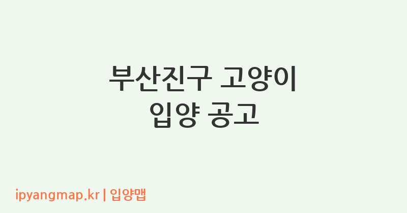 부산진구 고양이 입양 공고