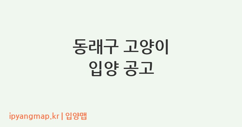 동래구 고양이 입양 공고