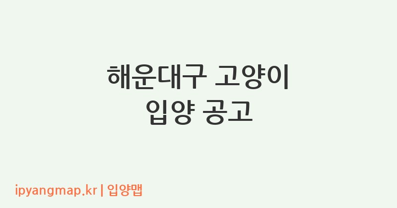 해운대구 고양이 입양 공고