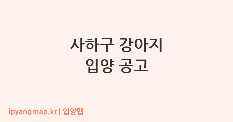 사하구 강아지 입양 공고