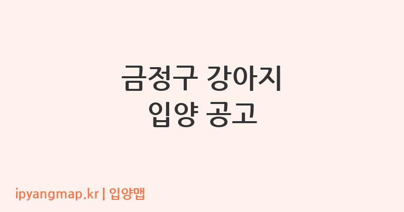 금정구 강아지 입양 공고