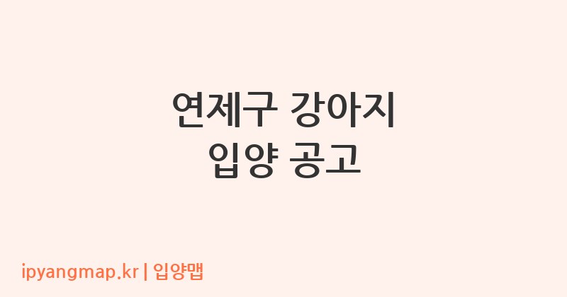 연제구 강아지 입양 공고