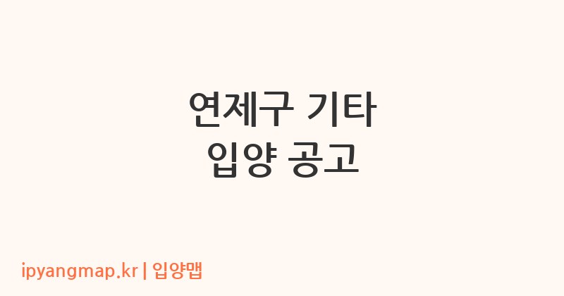 연제구 기타 입양 공고