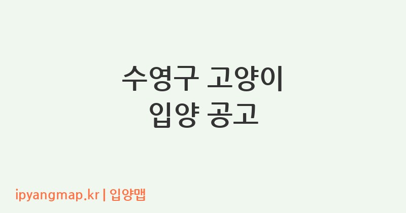 수영구 고양이 입양 공고