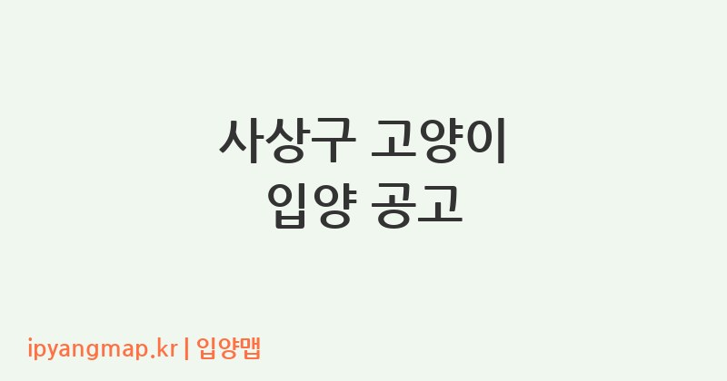 사상구 고양이 입양 공고