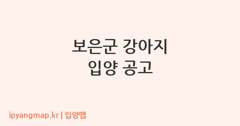 보은군 강아지 입양 공고