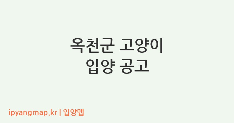옥천군 고양이 입양 공고