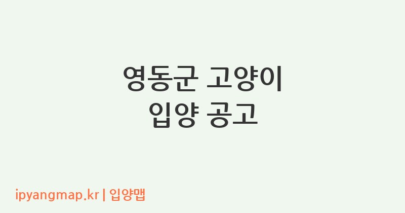 영동군 고양이 입양 공고