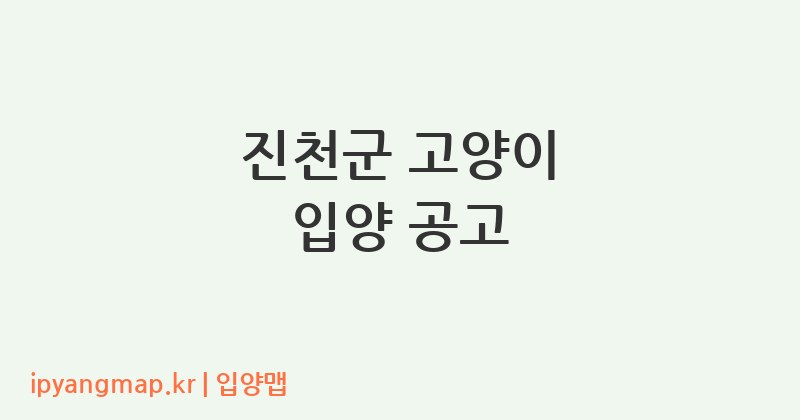 진천군 고양이 입양 공고