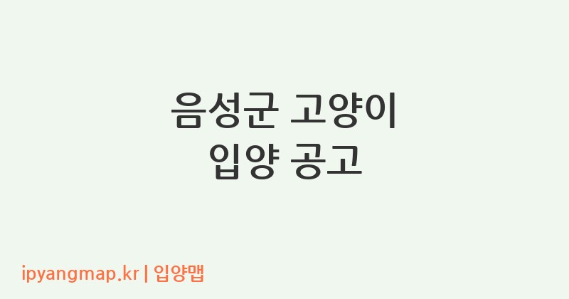음성군 고양이 입양 공고