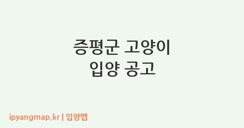 증평군 고양이 입양 공고