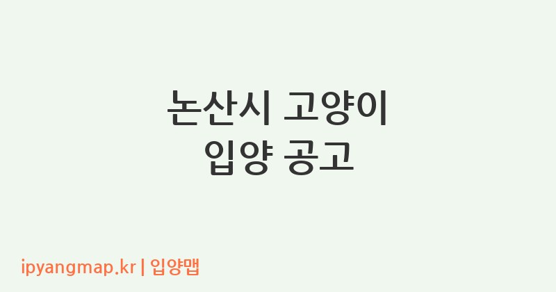 논산시 고양이 입양 공고
