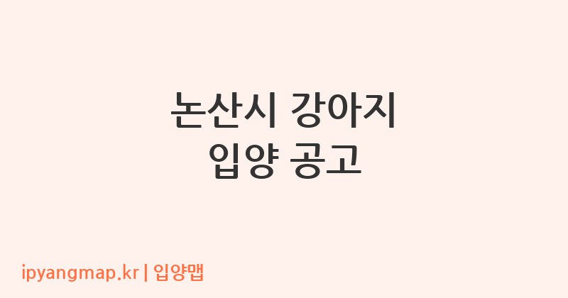 논산시 강아지 입양 공고