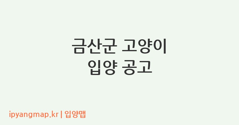 금산군 고양이 입양 공고