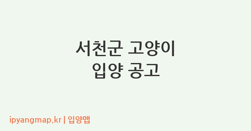 서천군 고양이 입양 공고