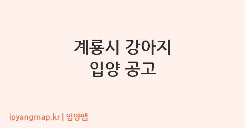 계룡시 강아지 입양 공고