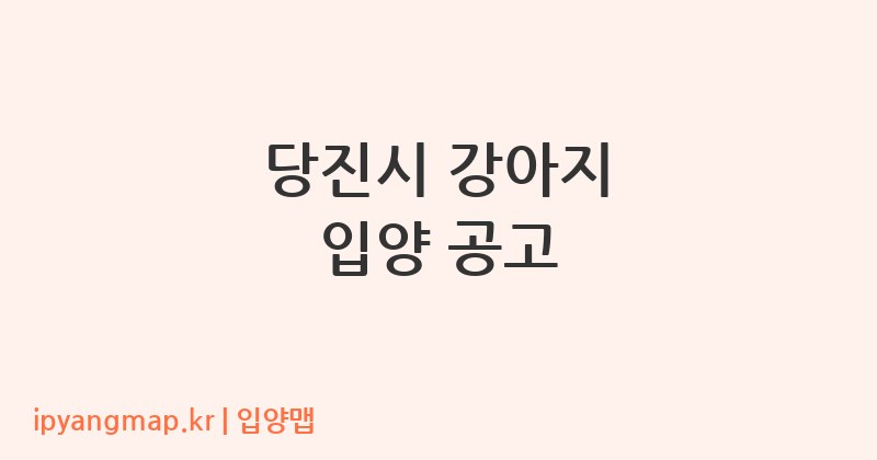 당진시 강아지 입양 공고