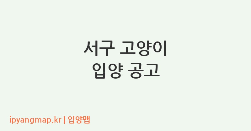 서구 고양이 입양 공고