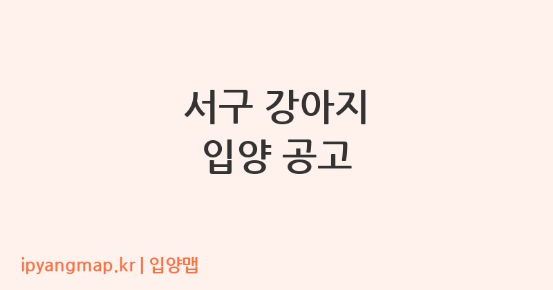 서구 강아지 입양 공고