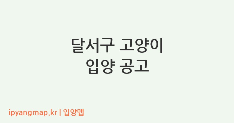 달서구 고양이 입양 공고