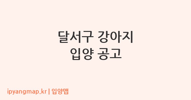 달서구 강아지 입양 공고