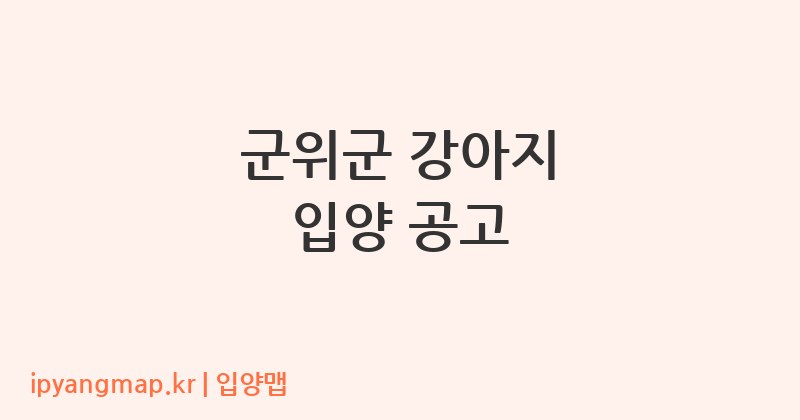 군위군 강아지 입양 공고