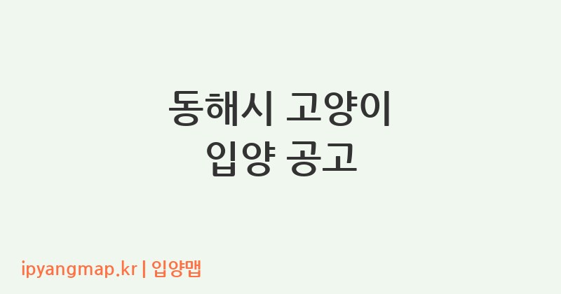동해시 고양이 입양 공고
