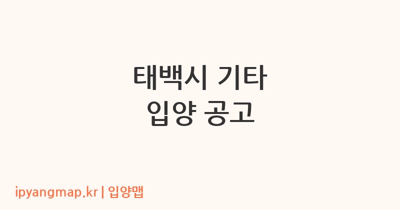 태백시 기타 입양 공고