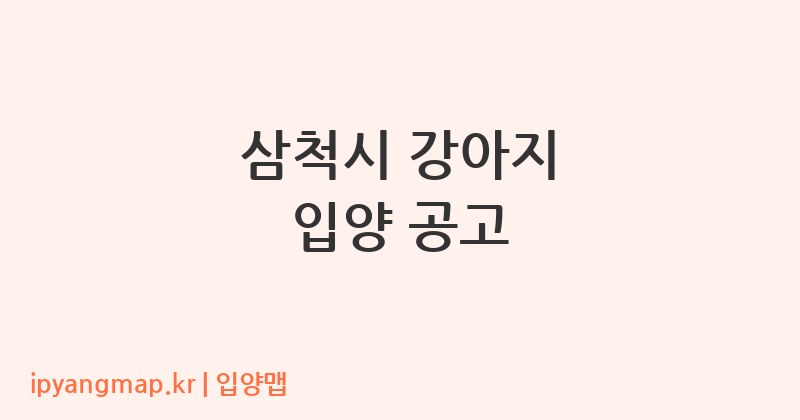 삼척시 강아지 입양 공고