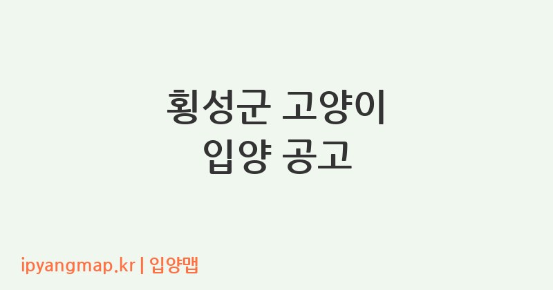 횡성군 고양이 입양 공고