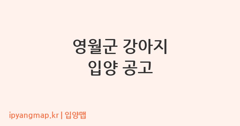 영월군 강아지 입양 공고