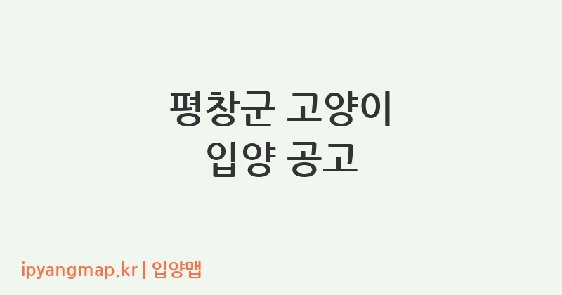 평창군 고양이 입양 공고