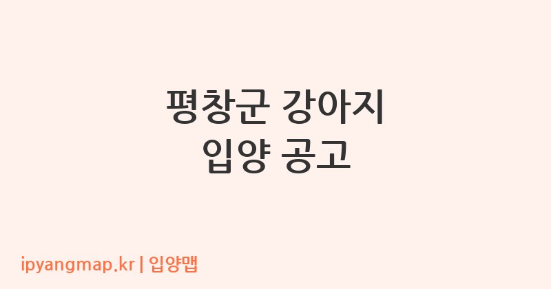 평창군 강아지 입양 공고
