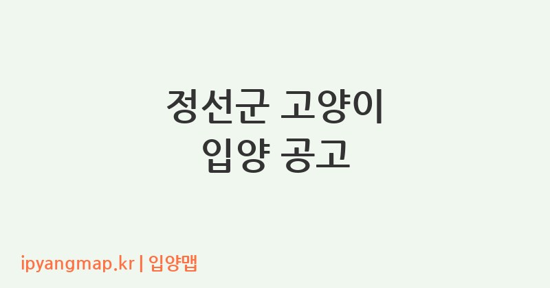정선군 고양이 입양 공고