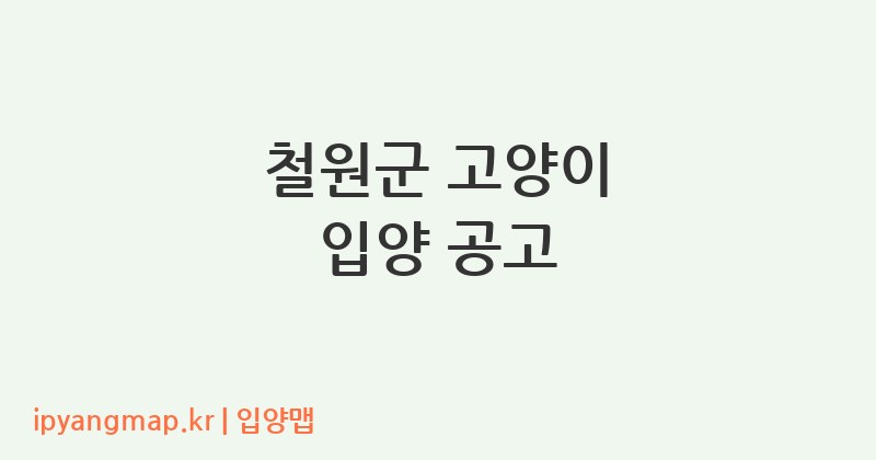 철원군 고양이 입양 공고
