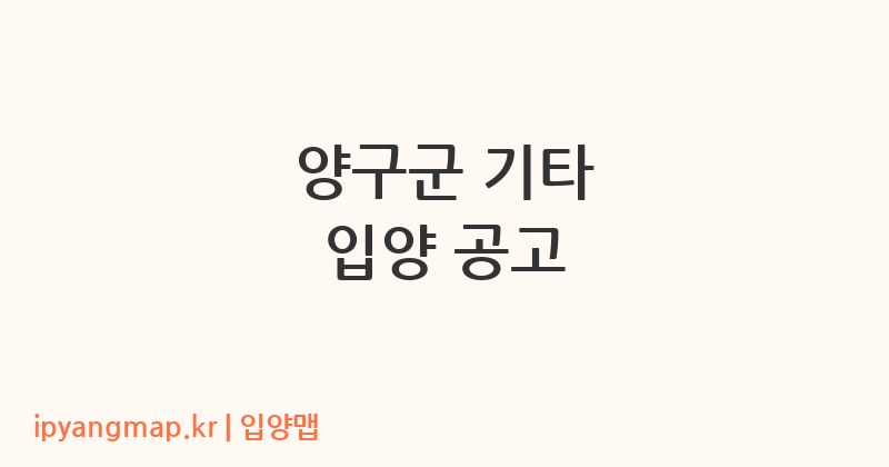 양구군 기타 입양 공고
