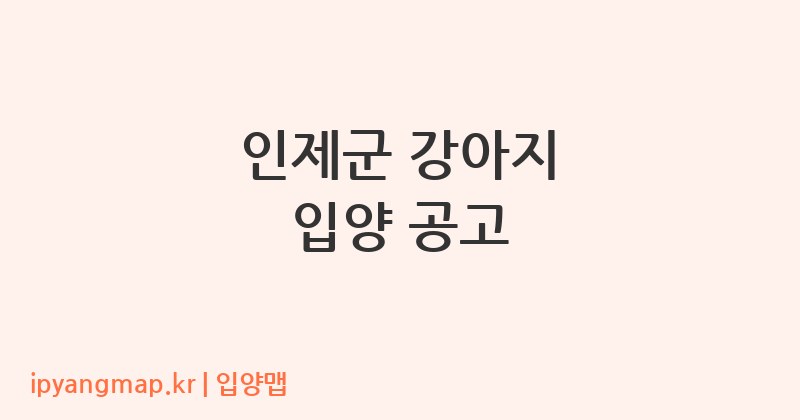 인제군 강아지 입양 공고