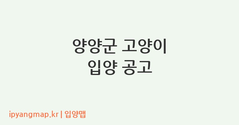 양양군 고양이 입양 공고