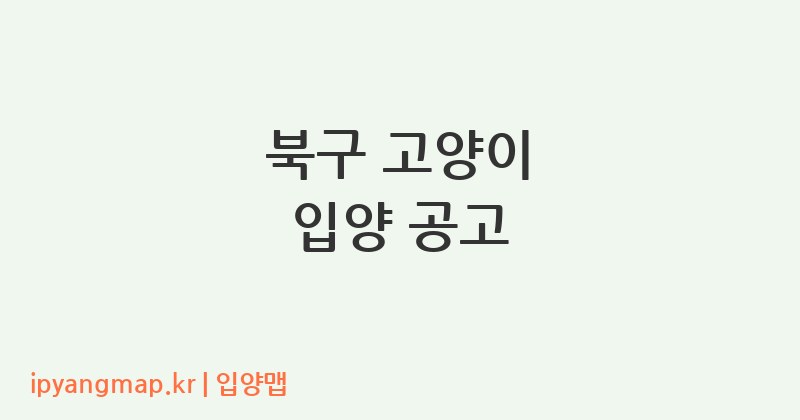 북구 고양이 입양 공고