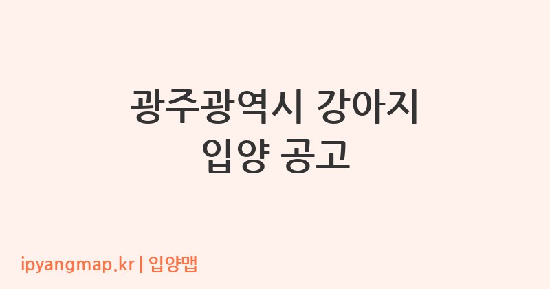 광주광역시 강아지 입양 공고