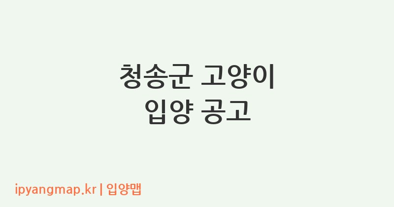 청송군 고양이 입양 공고
