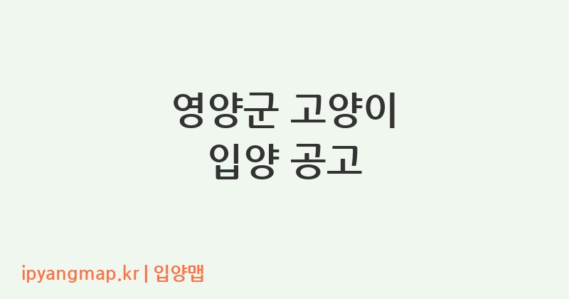 영양군 고양이 입양 공고