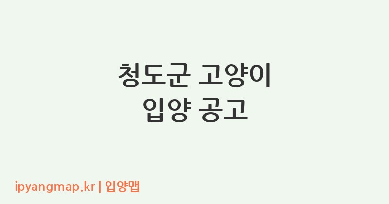 청도군 고양이 입양 공고