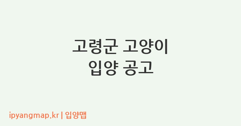 고령군 고양이 입양 공고