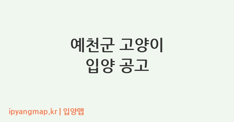 예천군 고양이 입양 공고