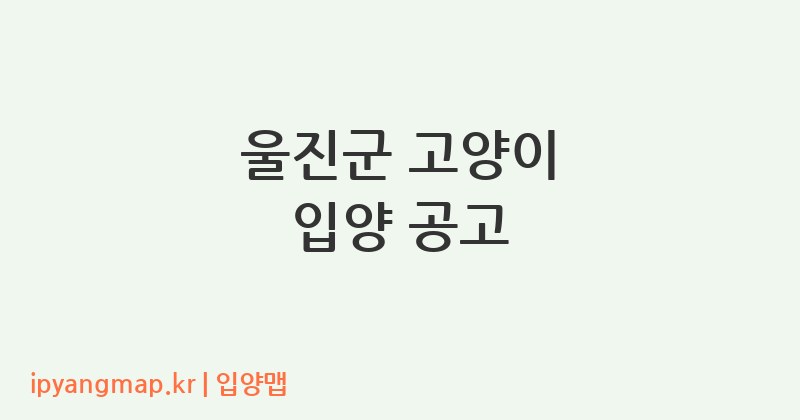 울진군 고양이 입양 공고