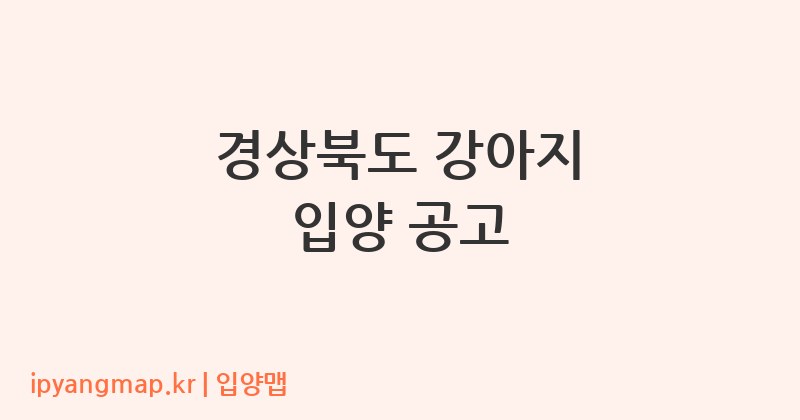 경상북도 강아지 입양 공고