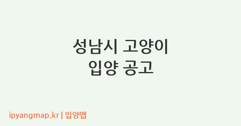 성남시 고양이 입양 공고